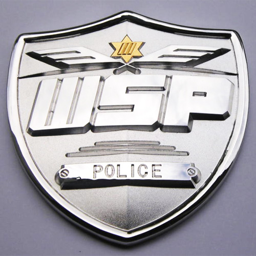 wsp